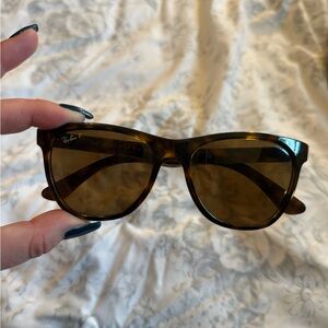 Ray-Ban Brown Sunglasses